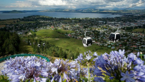 Visit Skyline | Palm Court Rotorua Motel