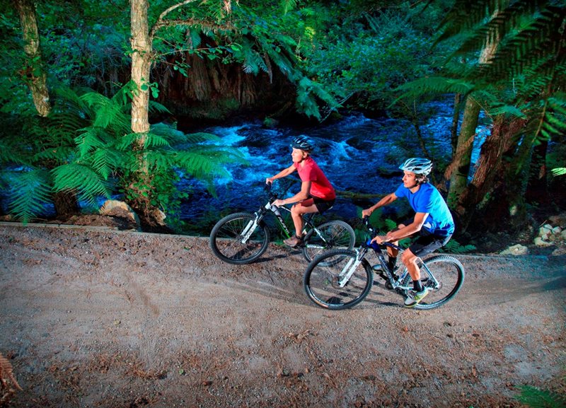 Montain Biking Package - Palm Court Rotorua, rotorua accommodation