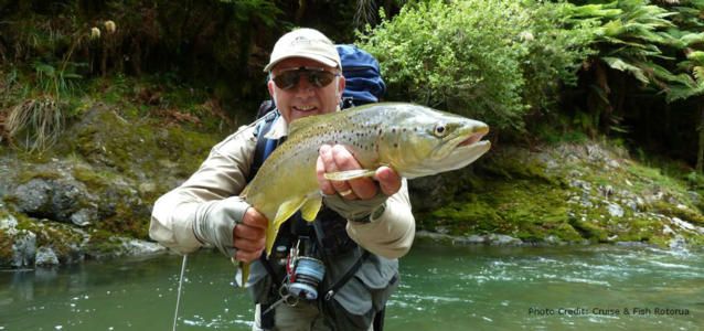 Rotorua Accommodation  Trout Fishing - Palm Court Rotorua