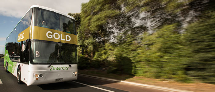 Rotorua Bus Services | Palm Court Rotorua Motel