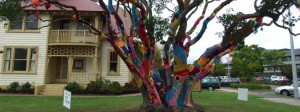 Arts Village Open Day | Palm Court Rotorua