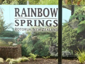 Rainbow Springs | Rotorua Attraction