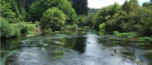 Hamurana Springs | Palm Court Rotorua Motel