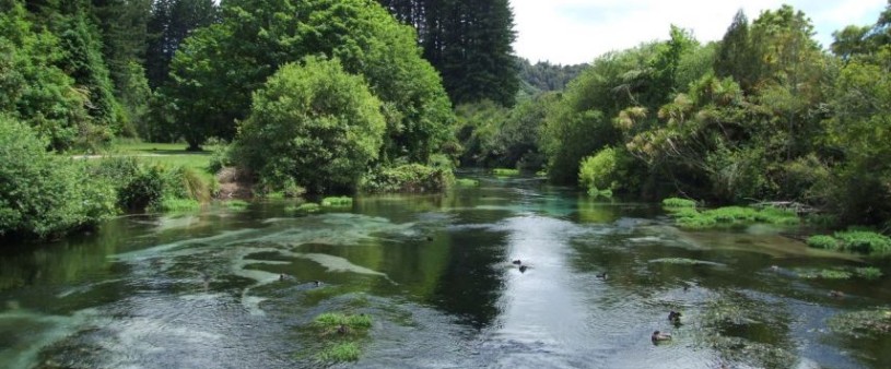 Hamurana Springs | Palm Court Rotorua Motel