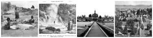 Rotorua History | Motel | Palm Court