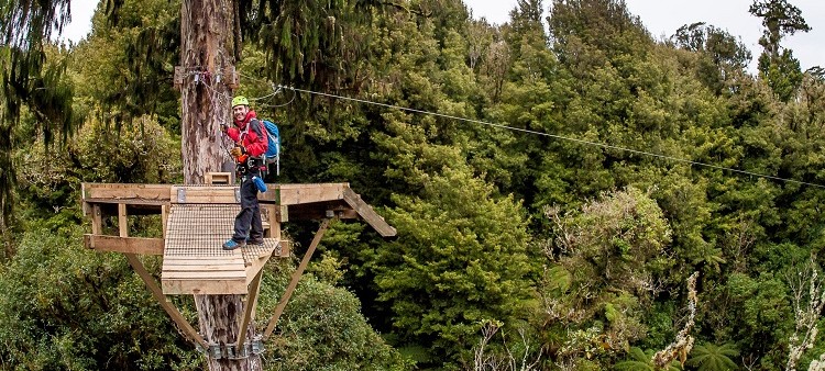 Enjoy Roroua Canopy Tours when staying at our Rotorua Motel