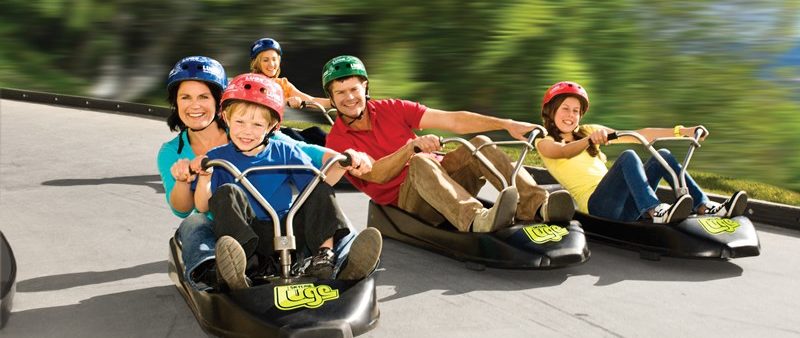 Rotorua Attractions and Family activities | Things to Do in Rotorua | Palm Court Motor Inn