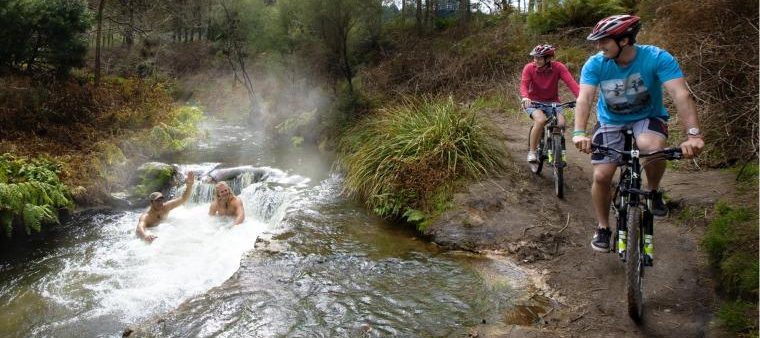 Palmcourt Rotorua Winter Bike Trails
