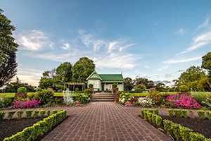 Maori Culture & Dining In Rotorua - ASURE Palm Court Rotorua