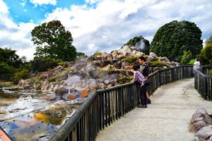 kuirau-Park-Rotorua-Geothermal_optimized 2