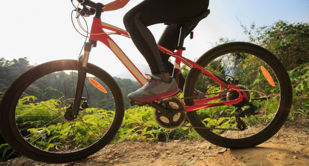 The ultimate guide to mountain biking in rotorua