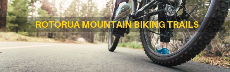 Mountain Biking Trails 