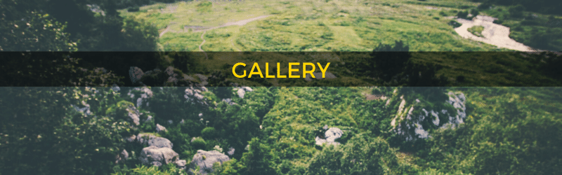 Mountain biking gallery Rotorua