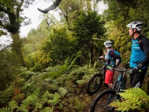 Rotorua-Mountain-Biking-Whirinaki-View