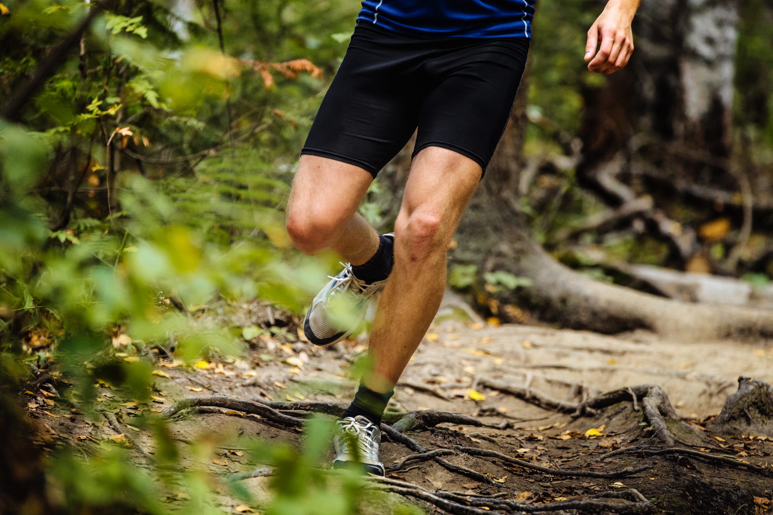 running man marathon runner in woods | Palm Court Rotorua